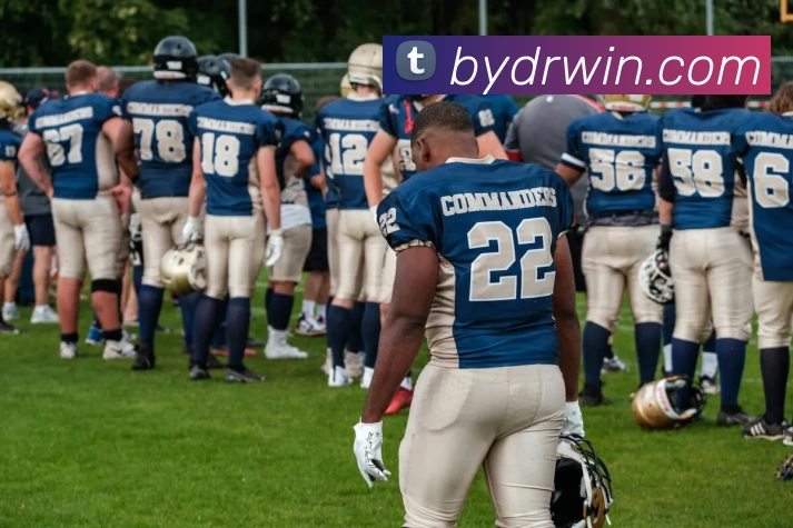 捕鱼达人官网平台生态图