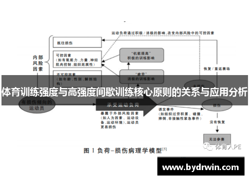 体育训练强度与高强度间歇训练核心原则的关系与应用分析